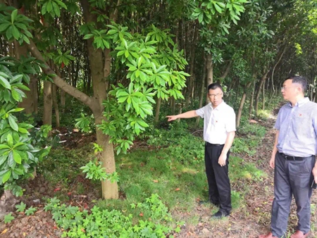 天线宝宝主论坛