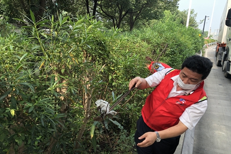 天线宝宝主论坛