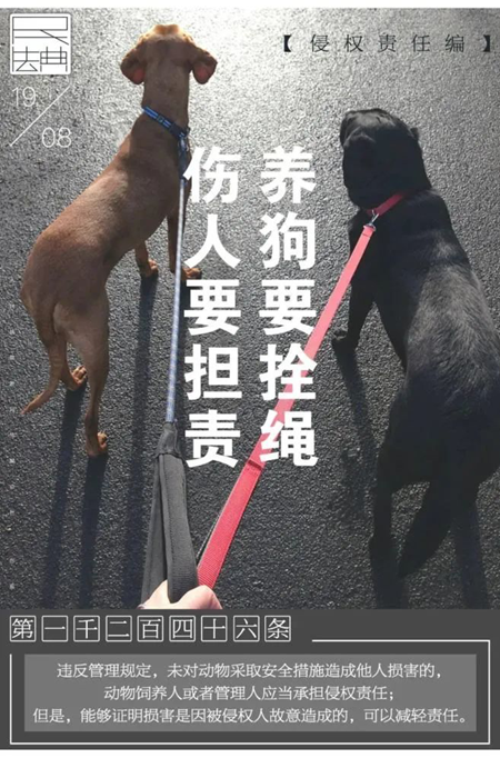 天线宝宝主论坛