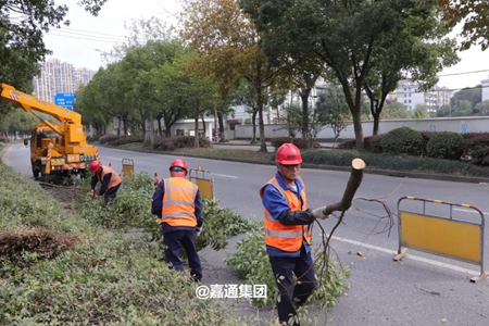 天线宝宝主论坛