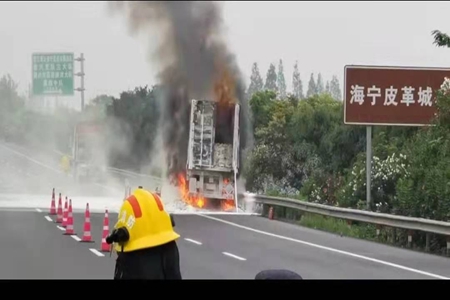 天线宝宝主论坛