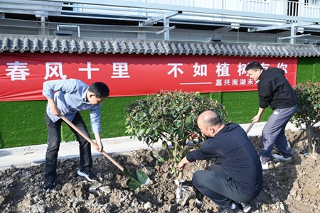 天线宝宝主论坛