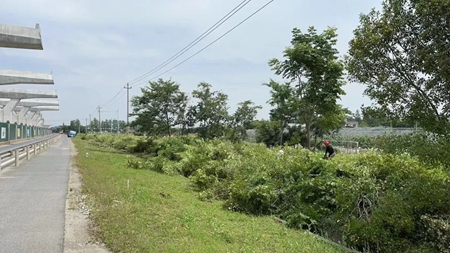 天线宝宝主论坛